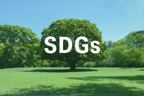 SDGsで再生可能エネルギーが注目！太陽光発電と蓄電池を活用