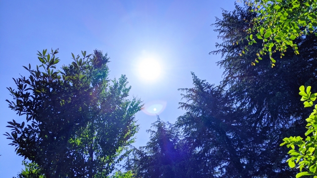 太陽